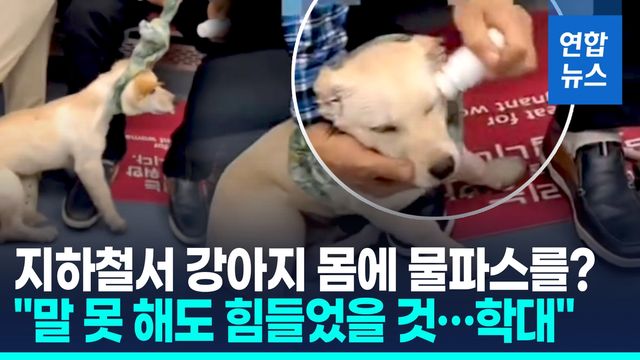 [영상] 지하철서 강아지 몸에 물파스를?…제보가 더 필요합니다