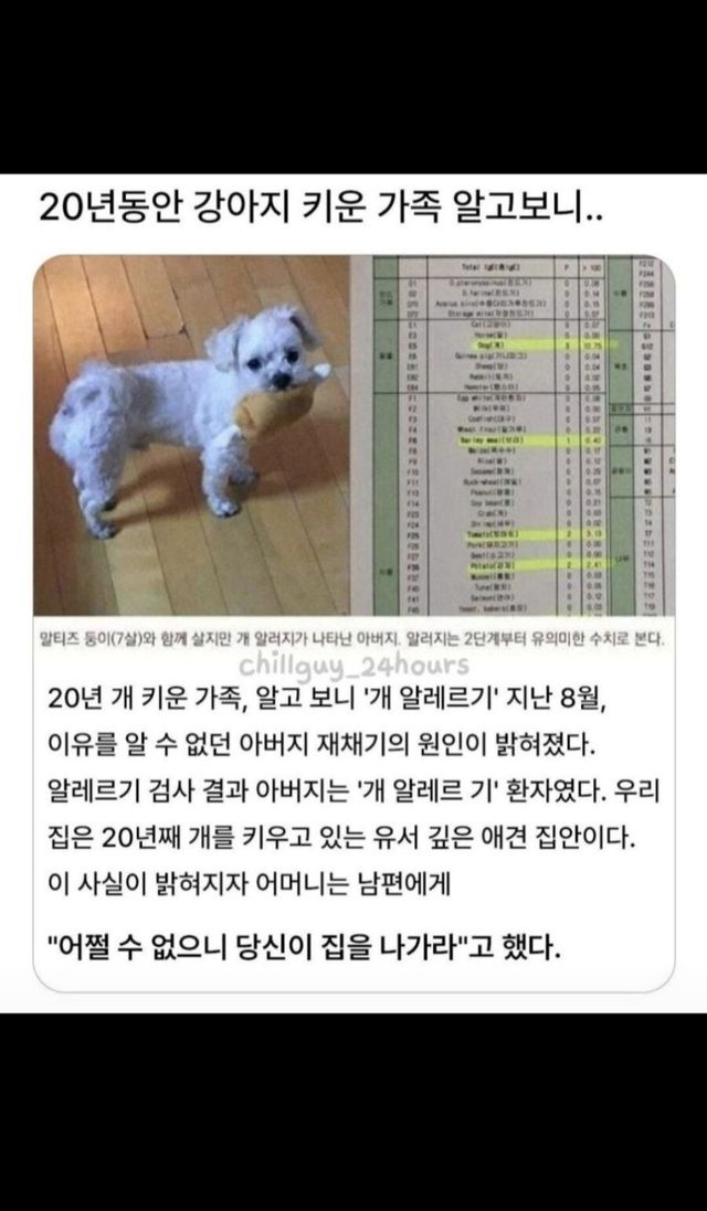 20년동안 강아지 키운 가족의 뜻밖의 발견