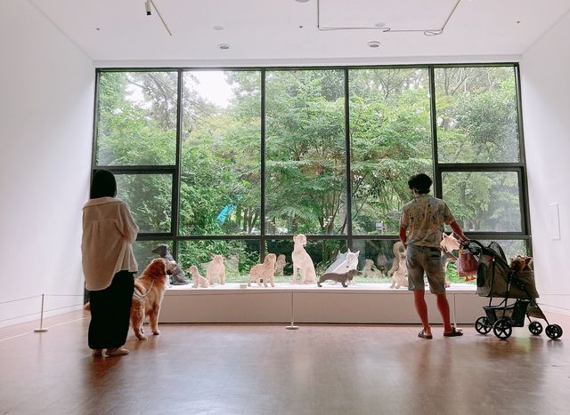 강아지와 함께 전시 관람 제주현대미술관 프로그램 호응