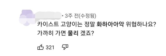 카이스트 고양이가 위험한 이유