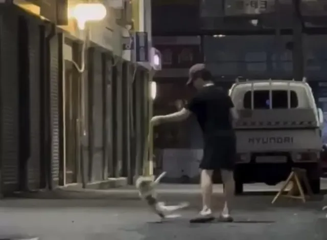 부산 골목서 여친 강아지 팽이 처럼 돌리던 30대 남성…  이렇게 변명했다