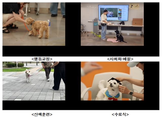 “초코도 반려인도 배움이 필요해!” 서울 반려동물 시민학교 가을학기 모집