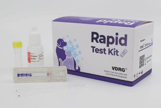 농식품부 반려동물 중증열성혈소판감소증후군(SFTS) 이제는 신속 진단 가능!