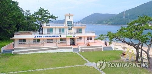 공간분리않고 40∼50마리 보호 통영 고양이학교 관리부실 논란