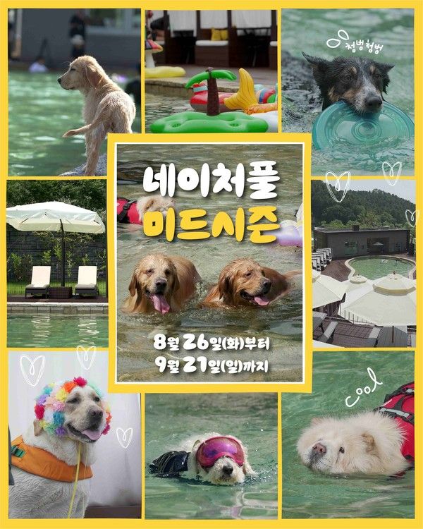 반려견과 시원하게…강아지숲 네이처풀 미드시즌 사전예매 15일 오픈