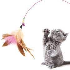 토라진 고양이.