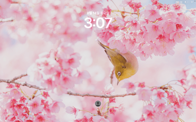 [배경화면] 사진질하는 이유 중 하나