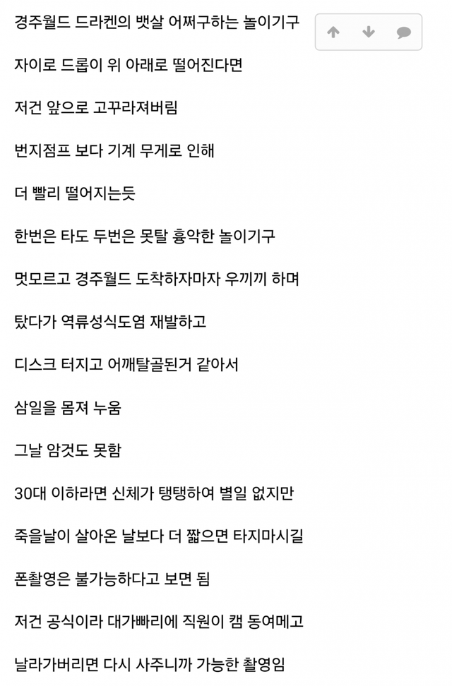 진짜 뒤지라고 만든 거 같은 놀이기구 
