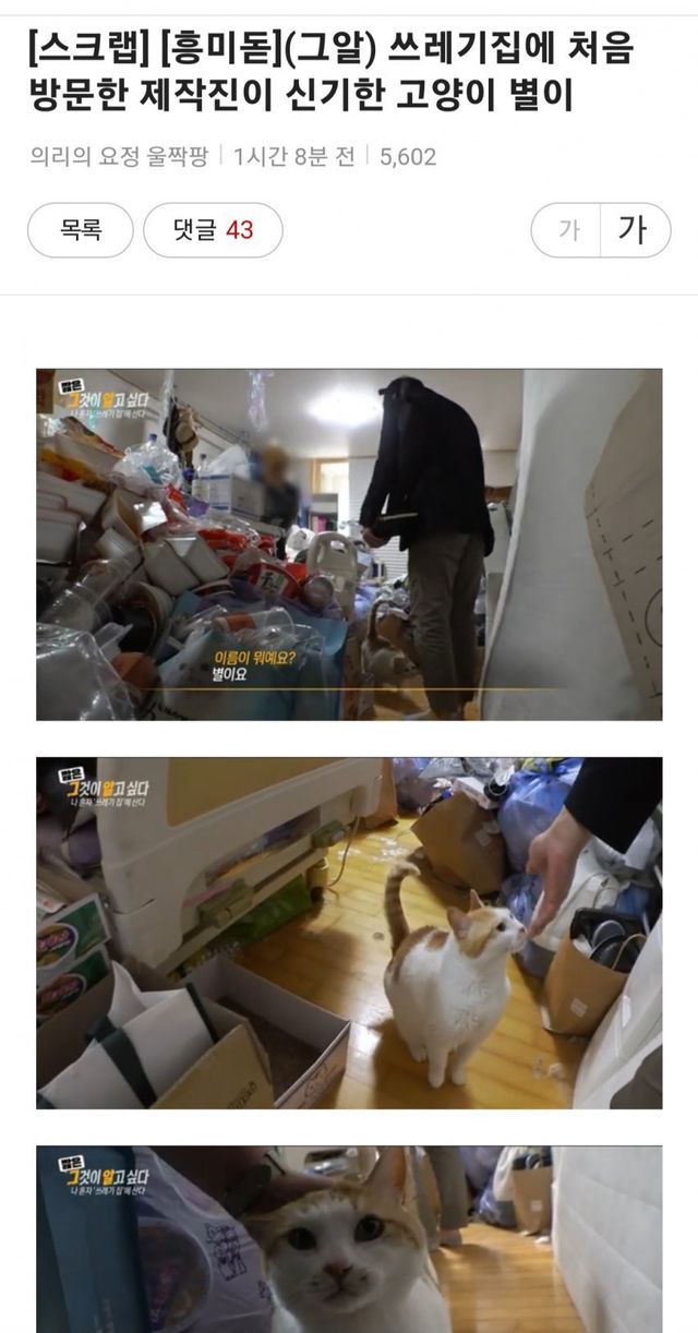 쓰레기집에 방문한 제작진이 신기한 고양이