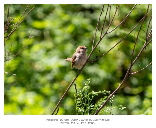 오늘 데일리는 목숨을 걸었다. (14pic
