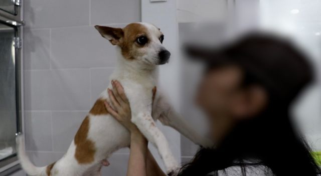 잔혹한 강아지 학대 영상…범인은 남친? (비하인드)