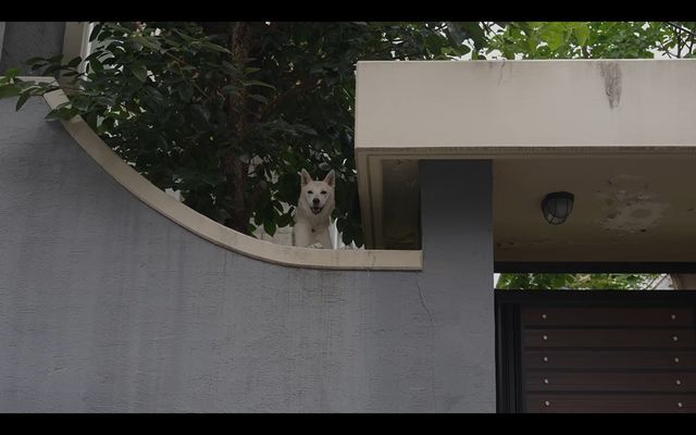 예사롭지 않은 던의 인테리어 센스