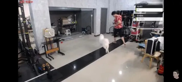 저 빨간 옷 입은 강아지는 종이 뭔가요  잘 뛰어노는 게 보기 좋네요