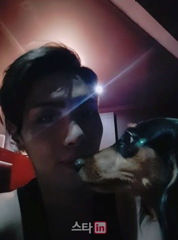 故 샤이니 종현 반려견 루 무지개다리 건넜다